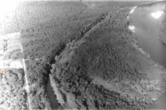 is_a01_03_1981